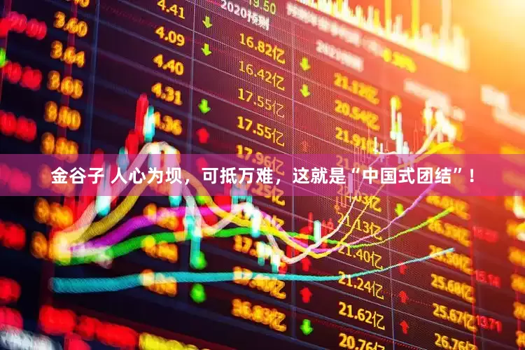 金谷子 人心为坝，可抵万难，这就是“中国式团结”！