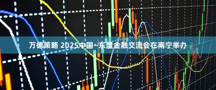 万德策略 2025中国—东盟金融交流会在南宁举办