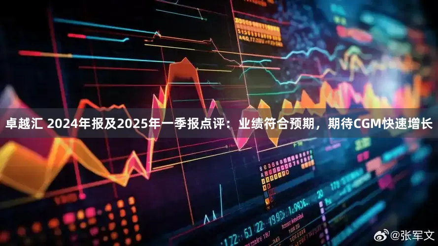 卓越汇 2024年报及2025年一季报点评：业绩符合预期，期待CGM快速增长