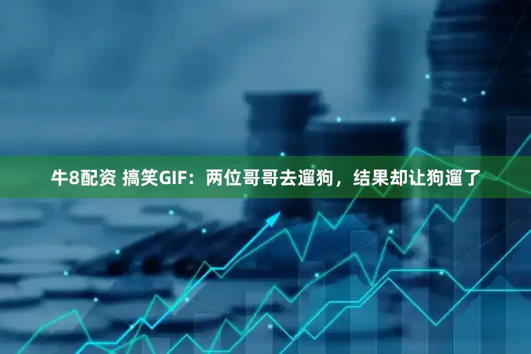 牛8配资 搞笑GIF：两位哥哥去遛狗，结果却让狗遛了