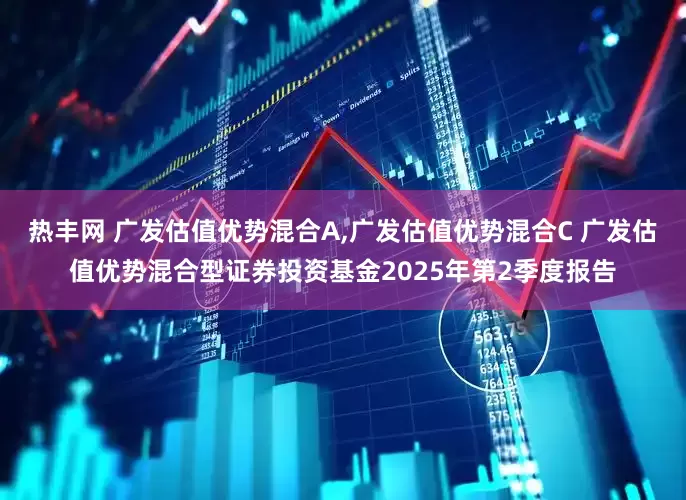 热丰网 广发估值优势混合A,广发估值优势混合C 广发估值优势混合型证券投资基金2025年第2季度报告